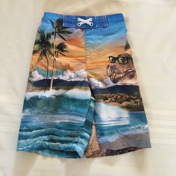 OP Other - Boys Swim Trunks Shirts T-Rex Dinosaurs Sunglasses
